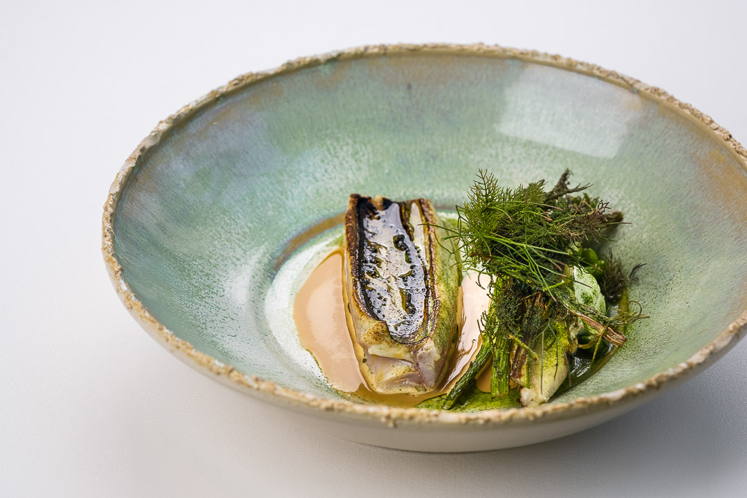 https://hungryformore.be/app/uploads/2024/12/de-jonkman-bruges-fish-with-greens-in-a-blue-bowl.jpg