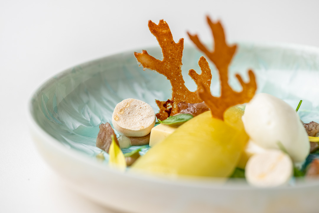 https://hungryformore.be/app/uploads/2024/12/kommilfoo-antwerp-pear-dessert-close-up.jpg
