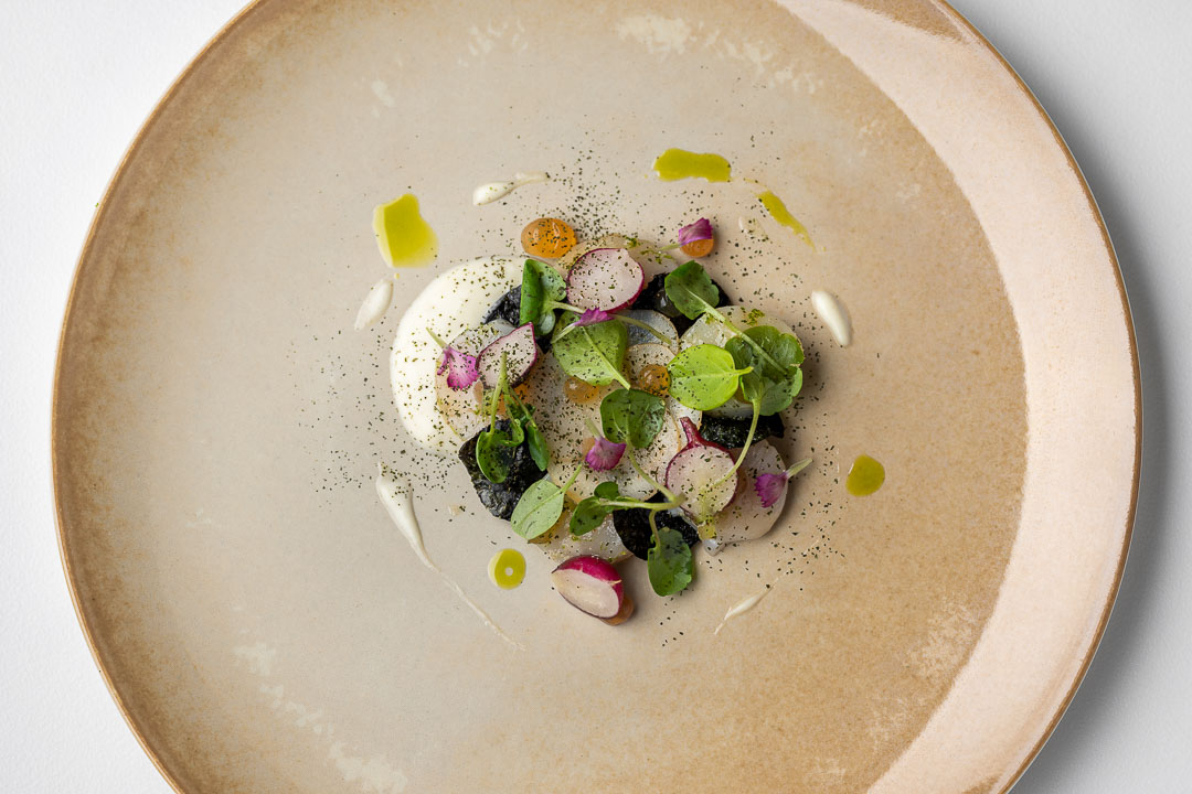 https://hungryformore.be/app/uploads/2024/12/kommilfoo-antwerp-scallops-top-view.jpg