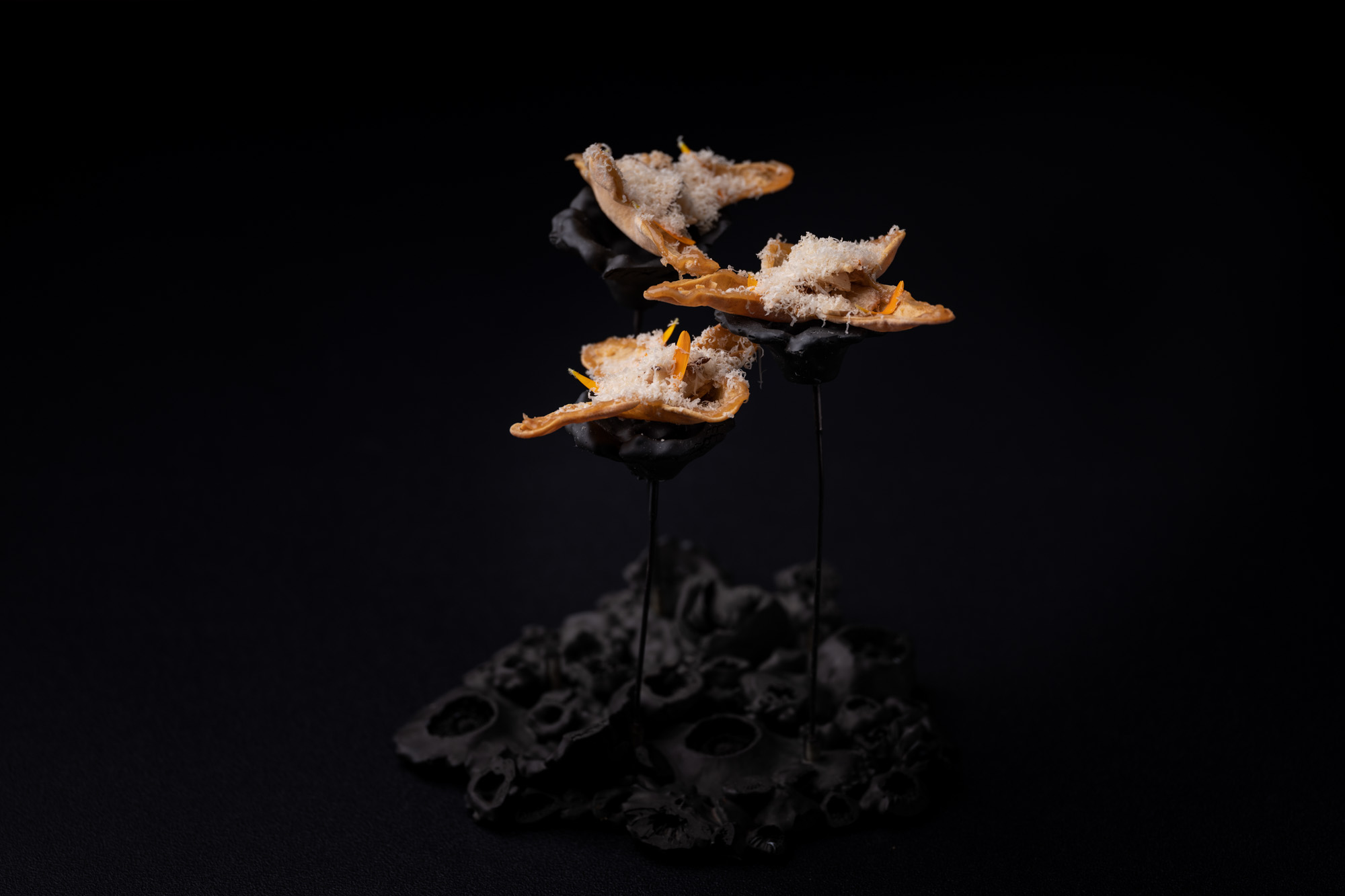 https://hungryformore.be/app/uploads/2025/01/pastorale-rumst-crisps-on-a-black-branch.jpg