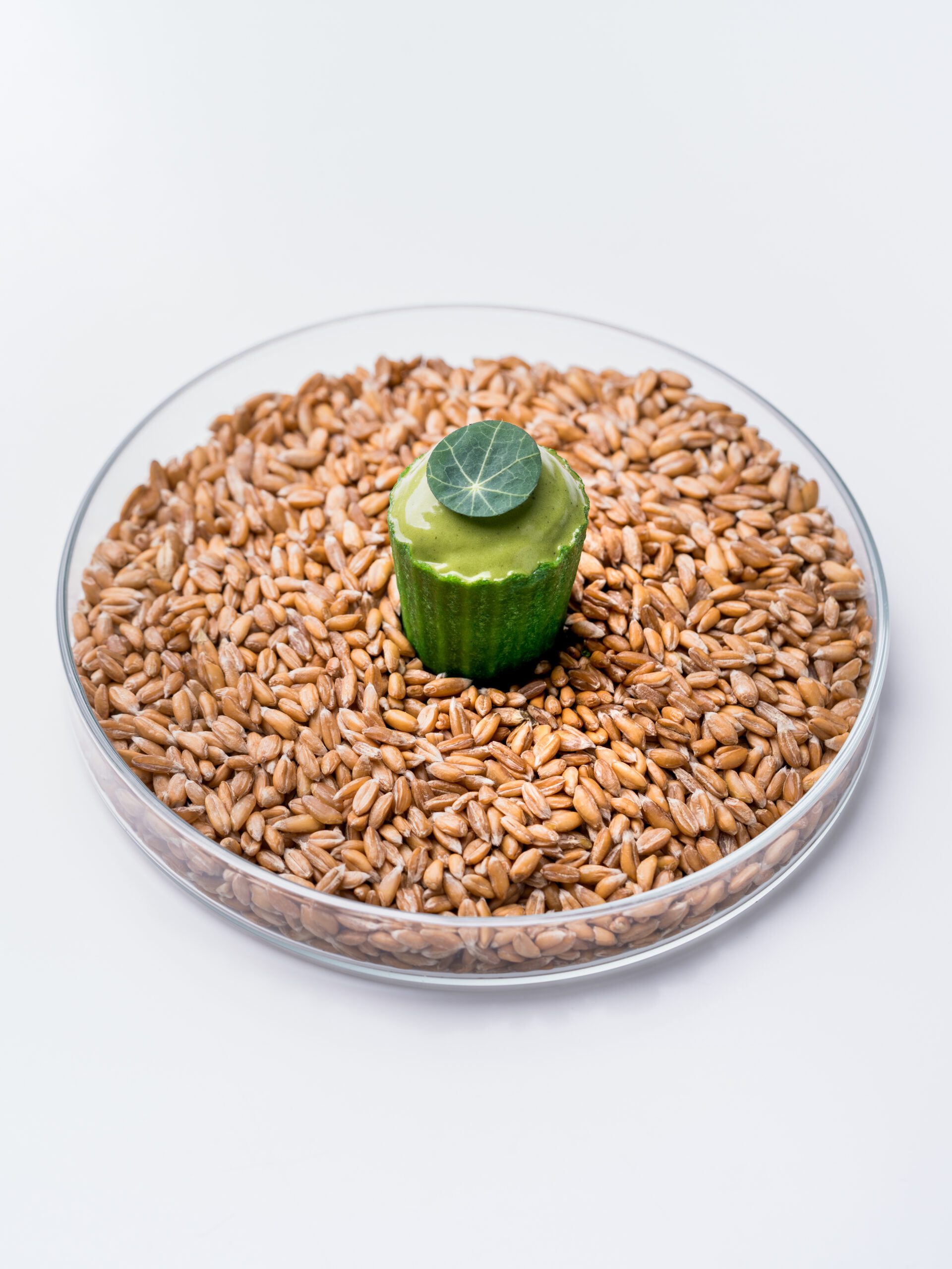 https://hungryformore.be/app/uploads/2025/10/vintage-kontich-amuse-on-grains-scaled.jpg