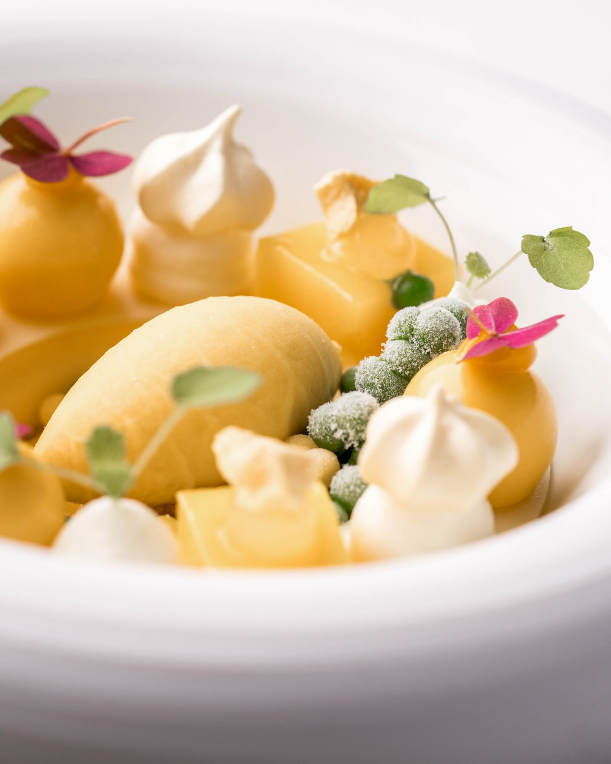 https://hungryformore.be/app/uploads/2026/09/parkheuvel-rotterdam-dessert-close-up-scaled.jpg