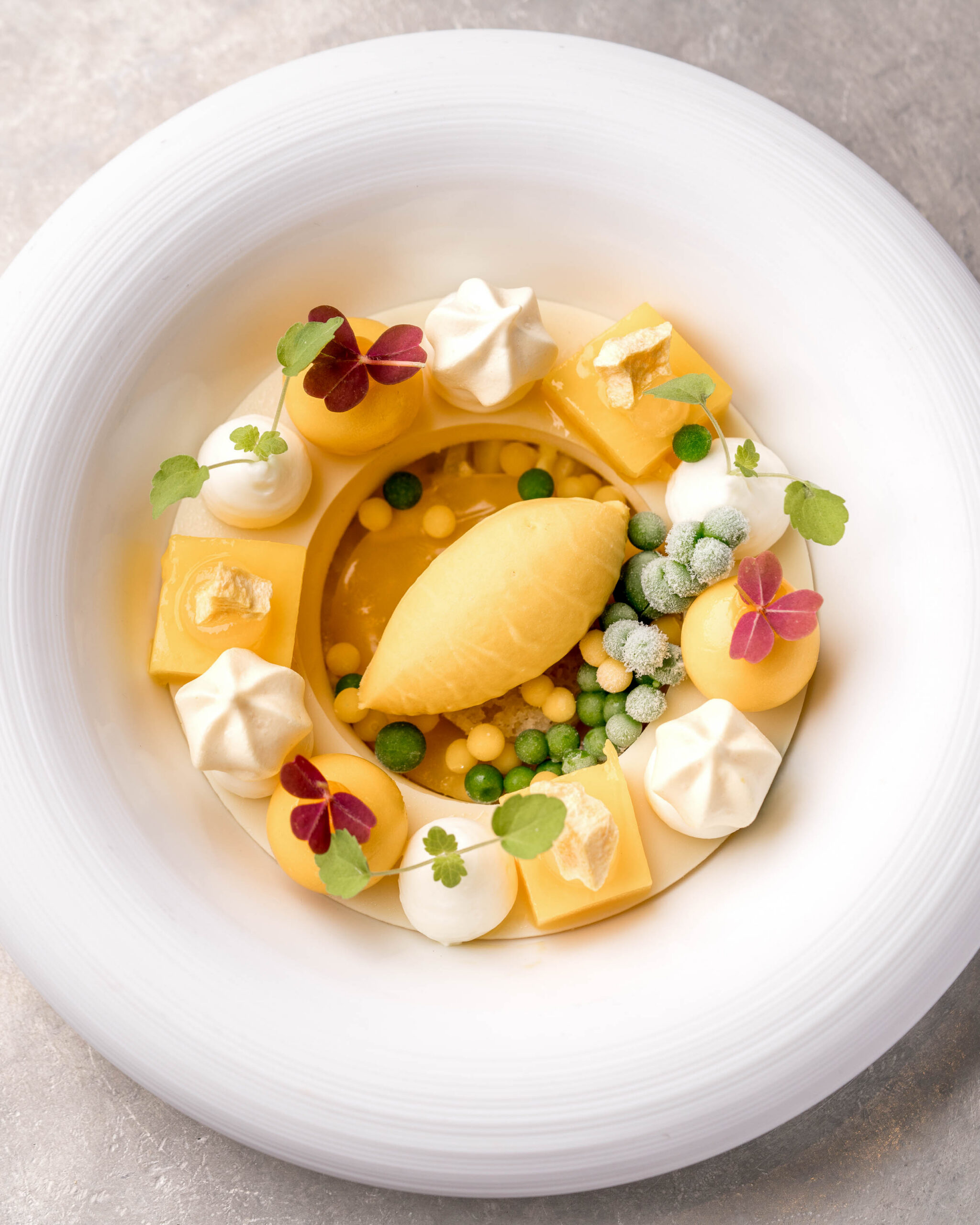 https://hungryformore.be/app/uploads/2026/09/parkheuvel-rotterdam-dessert-top-view-scaled.jpg