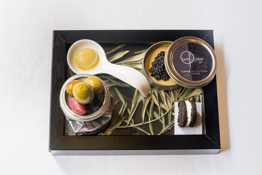 https://hungryformore.be/app/uploads/2026/10/casa-piolas-algarinejo-olive-oil-tasting.jpg